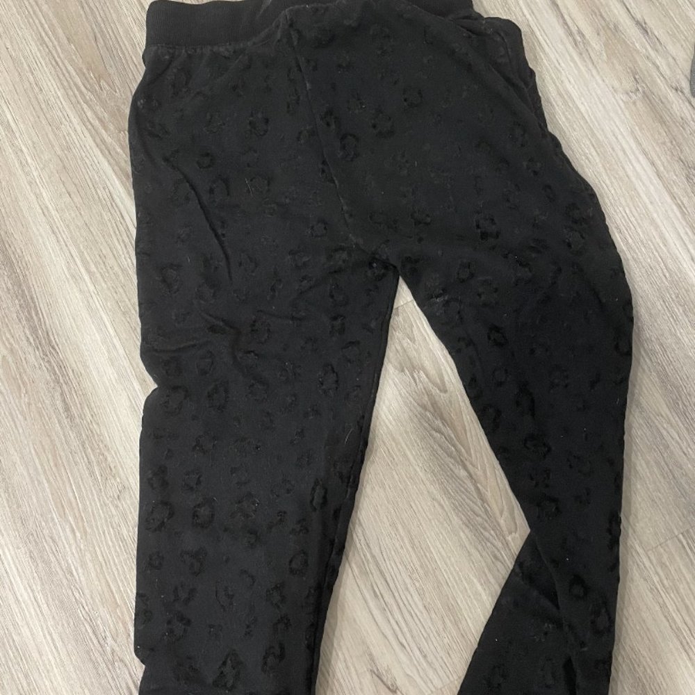 ZSupply Leopard Sweatpants